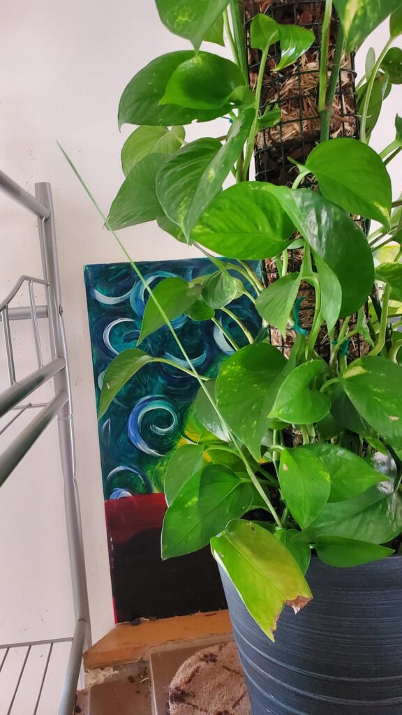 What the hell is my pothos growing