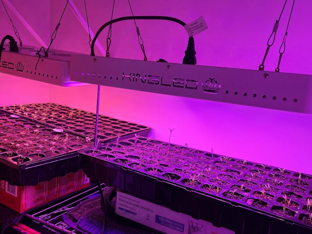 Are my starters and set up still ok? Are my starters and set up still ok?