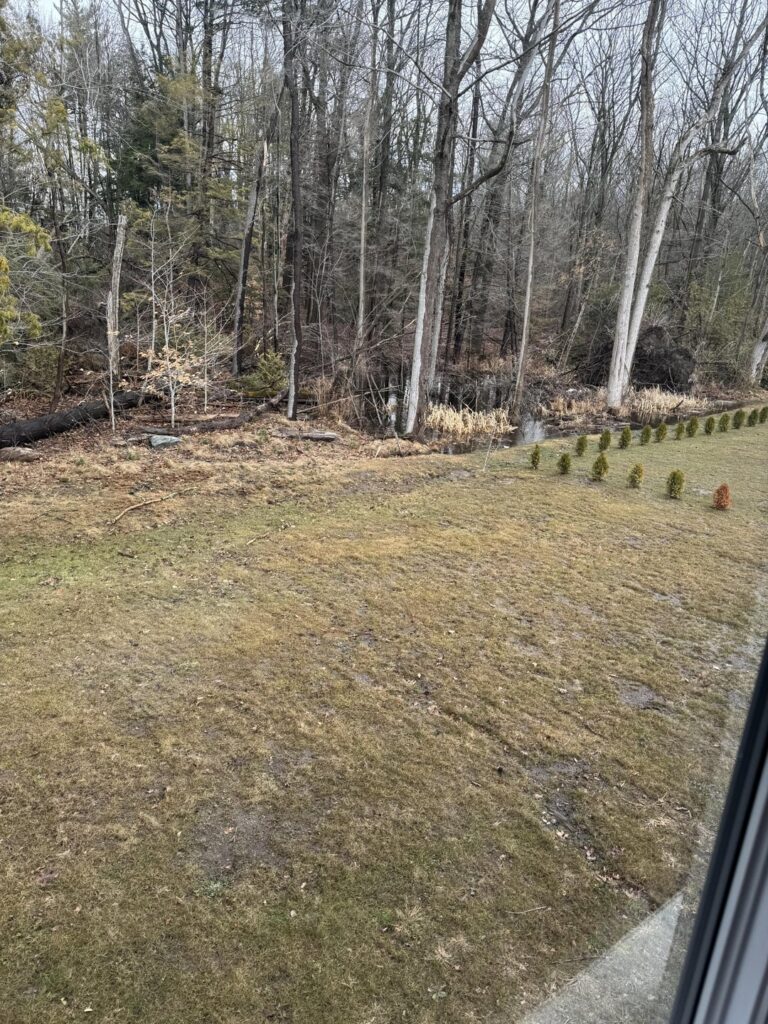 New build – current state of lawn, DIY or just hire? New build - current state of lawn, DIY or just hire?