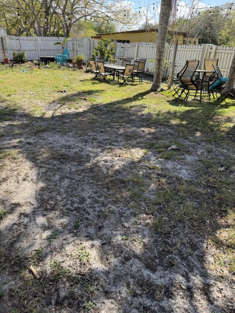 Is this restorable? Is this restorable?
