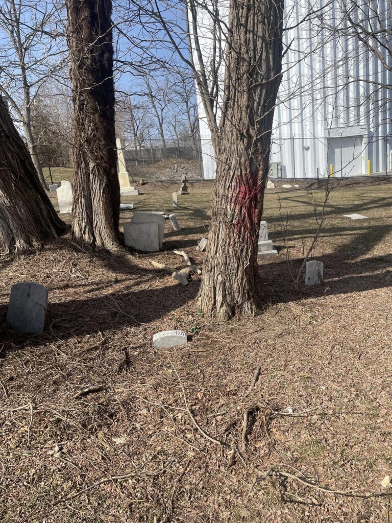 Cemetery I volunteer at- this will all bloom into extensive amounts of poison ivy. How can I abate it without damaging the trees/graves? Cemetery I volunteer at- this will all bloom into extensive amounts of poison ivy. How can I abate it without damaging the trees/graves?