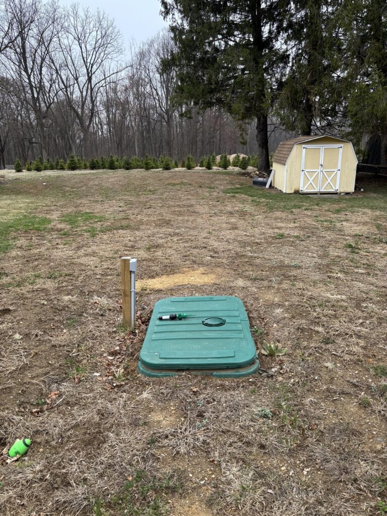 What do I do with this lawn What do I do with this lawn