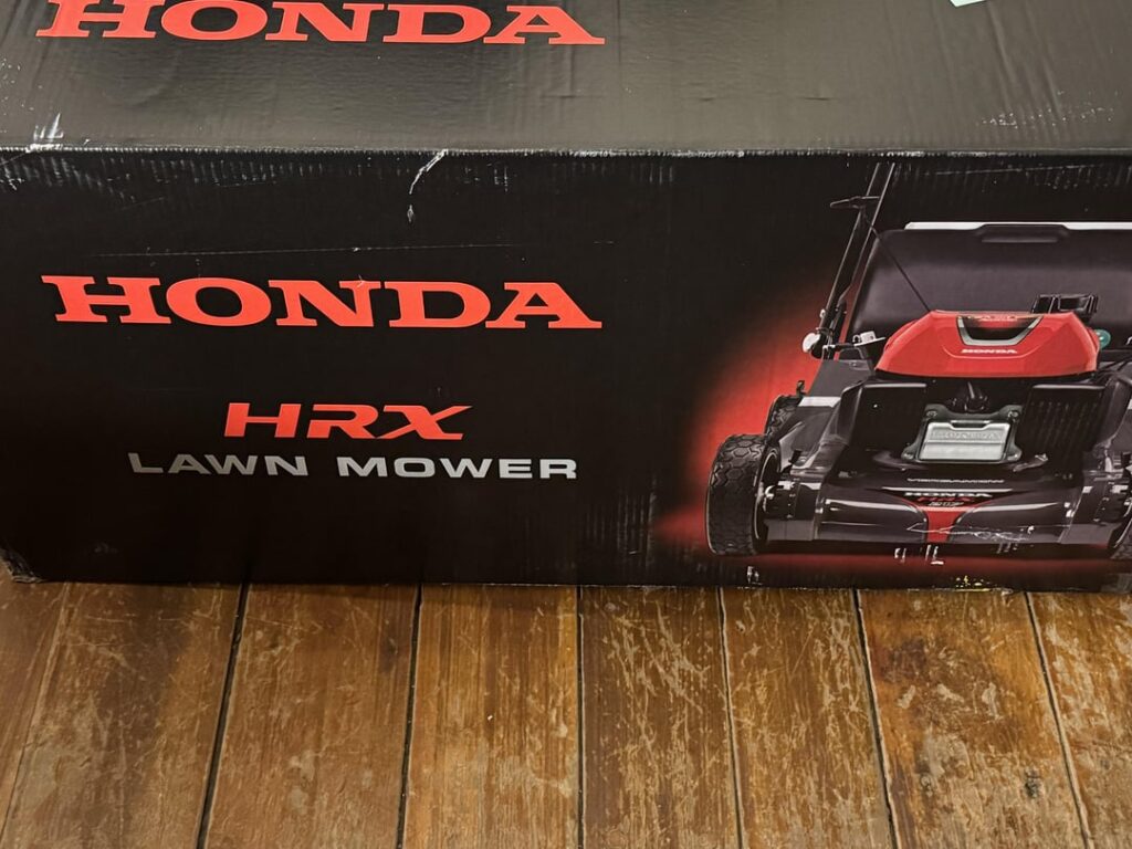 First time home owner in first spring, did I choose well?