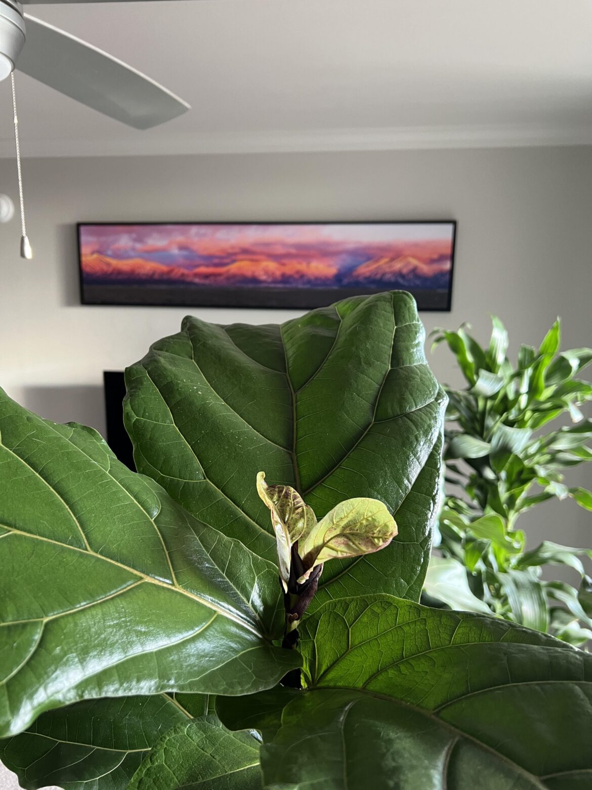 Are these babies doomed?