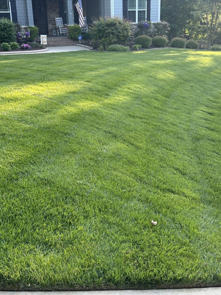 That Time of Year (Transition Zone) That Time of Year (Transition Zone)