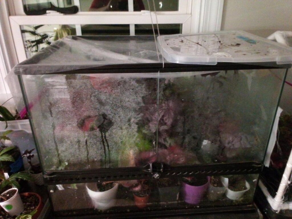 I'm pretty pleased with how happy they are.