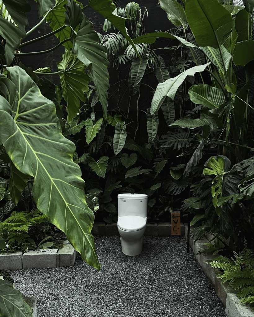 I would be shtting here all day