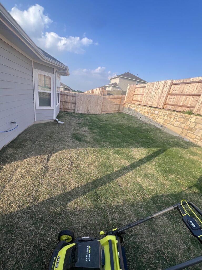 ID - What kind of grass do I have? What should I do to take care of it? Austin, TX.