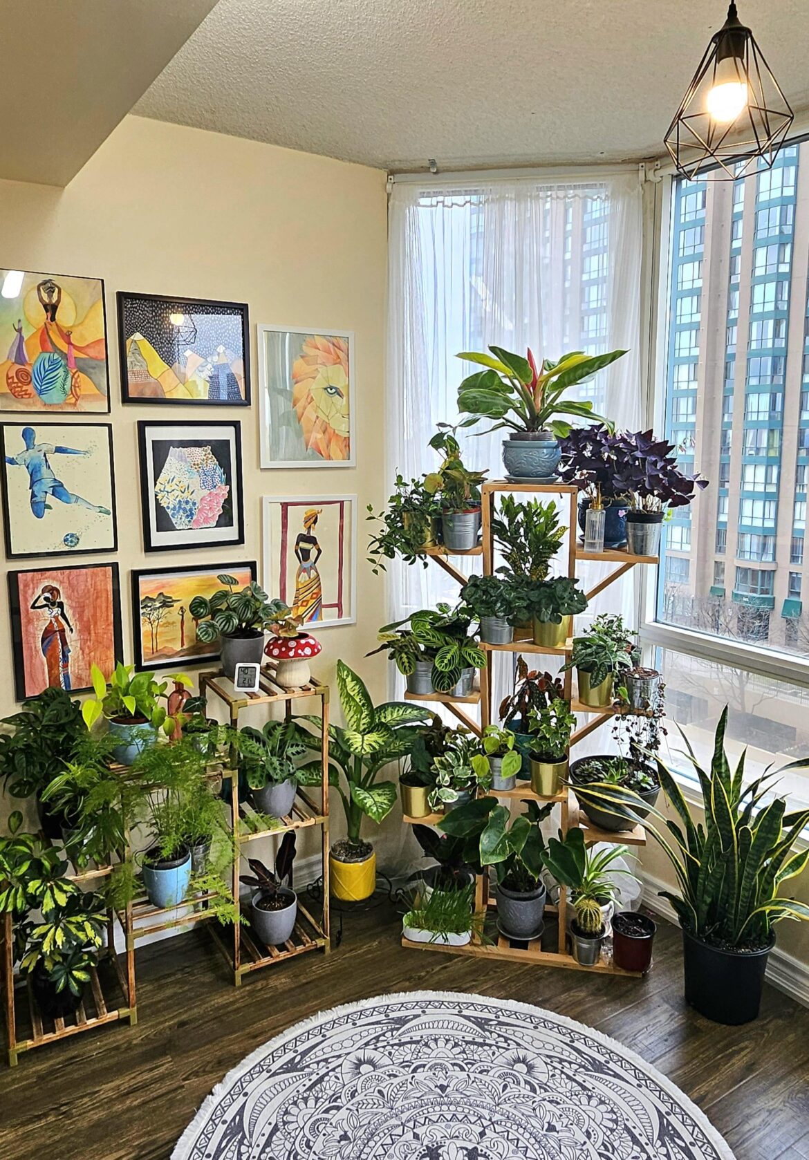 My little indoor garden.