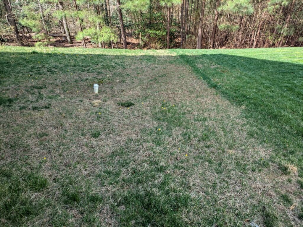 How do I make my grass green like my neighbor's?