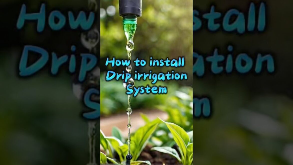How Smart Irrigation Could Save Our Crops
