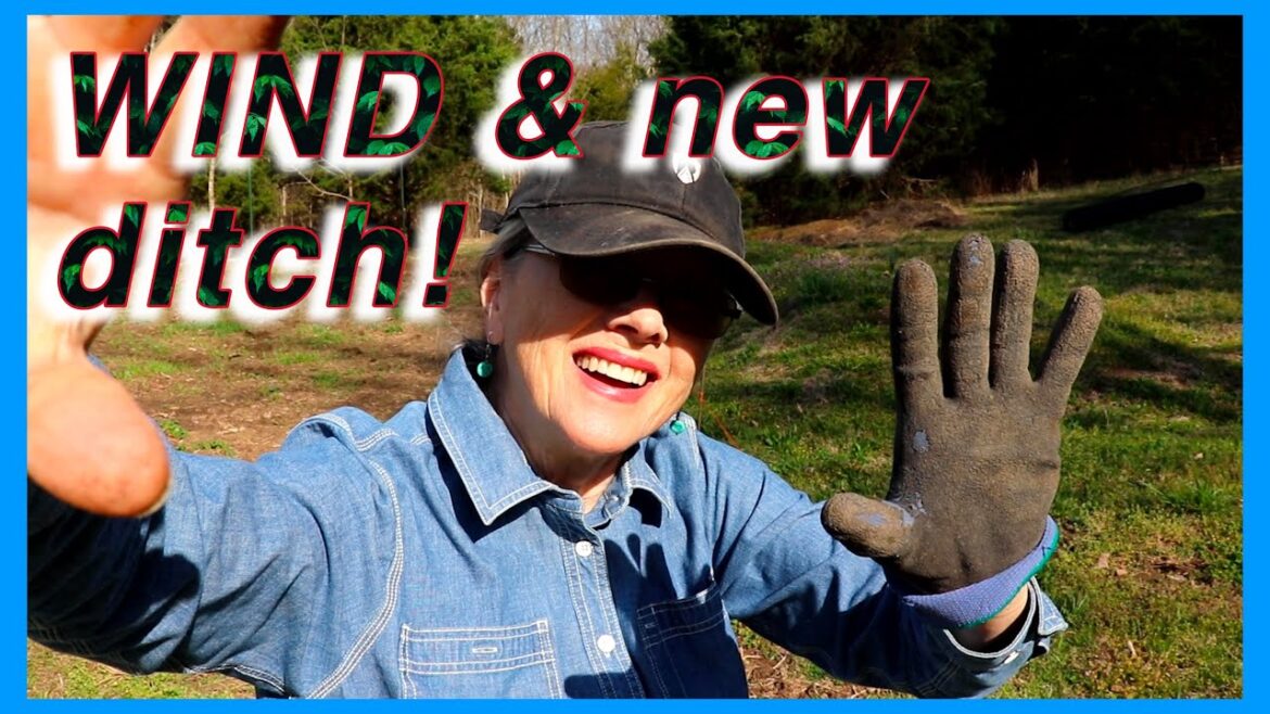 Will the WIND get me or the SANDBAGS?! New Ditch!