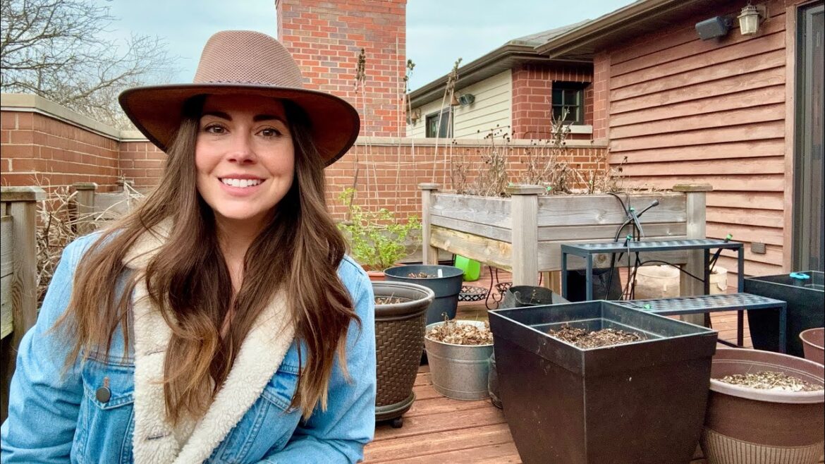 Where All The Containers In My Garden Are From & Tips For Finding Cheap Pots Where All The Containers In My Garden Are From & Tips For Finding Cheap Pots