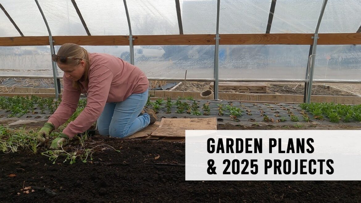 Garden Projects & 2025 Garden Plans!!  Sunshine and Flora Urban Flower Farm