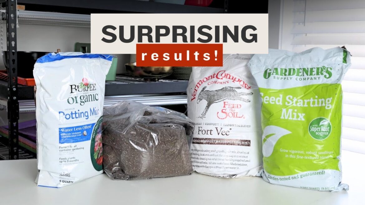 I tried 4 soil mixes for starting seeds, and WOW!