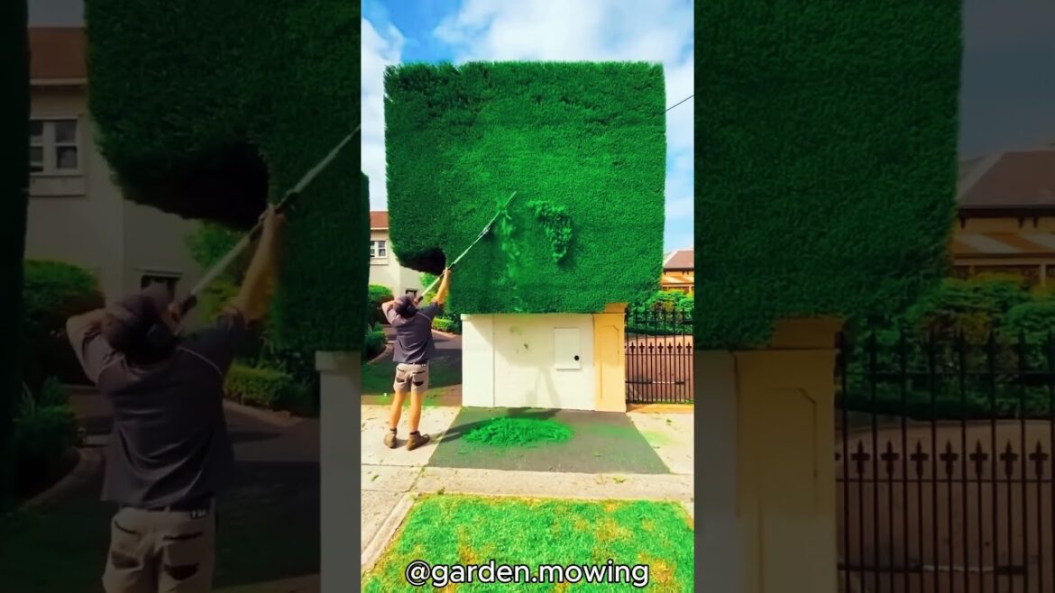 A Timelapse Journey You Won't Forget