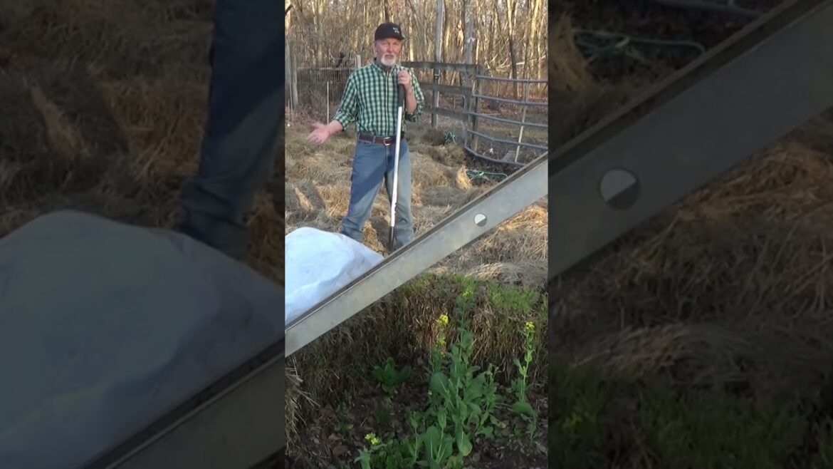 Benefits of deep mulch #garden #vegetablegardening #gardeningtips #healthysoil