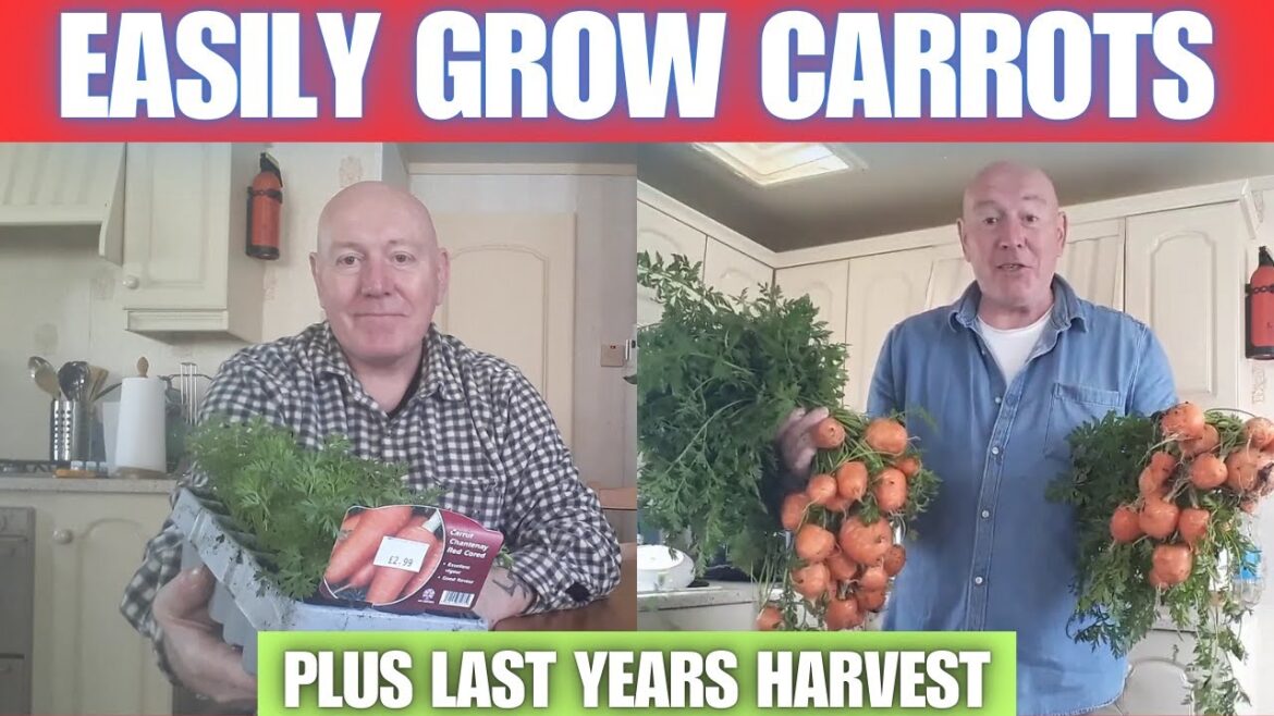 How To Grow Container Carrots [Container Gardening ]