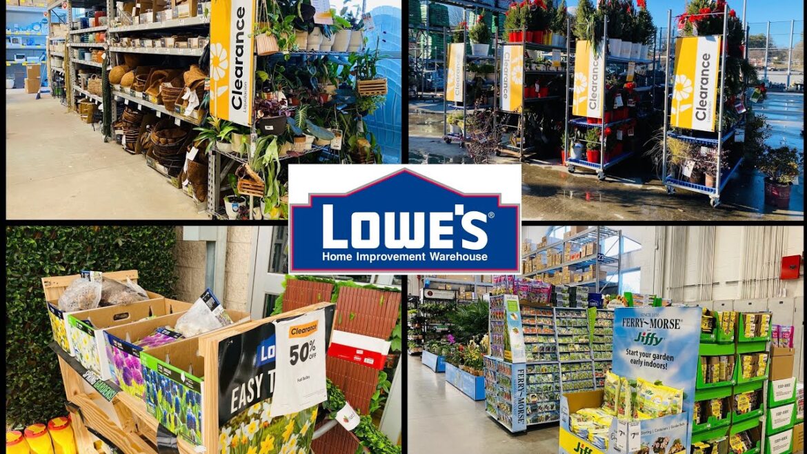 Lowe’s Garden Center | Evergreen Houseplant Flower Bulb Clearance | Fruit Vegetables Seeds Supply