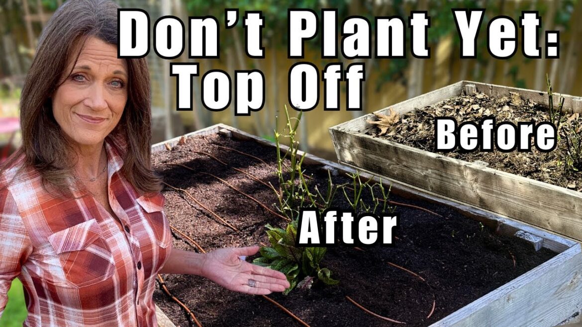 CaliKim: Don’t Plant Yet: Top Off Raised Beds FIRST in 5 Easy Steps to Grow MORE Vegetables Don’t Plant Yet: Top Off Raised Beds FIRST in 5 Easy Steps to Grow MORE Vegetables