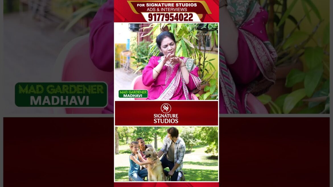 @MADGARDENER Mad Gardener Madhavi Special Interview | Signature Studios