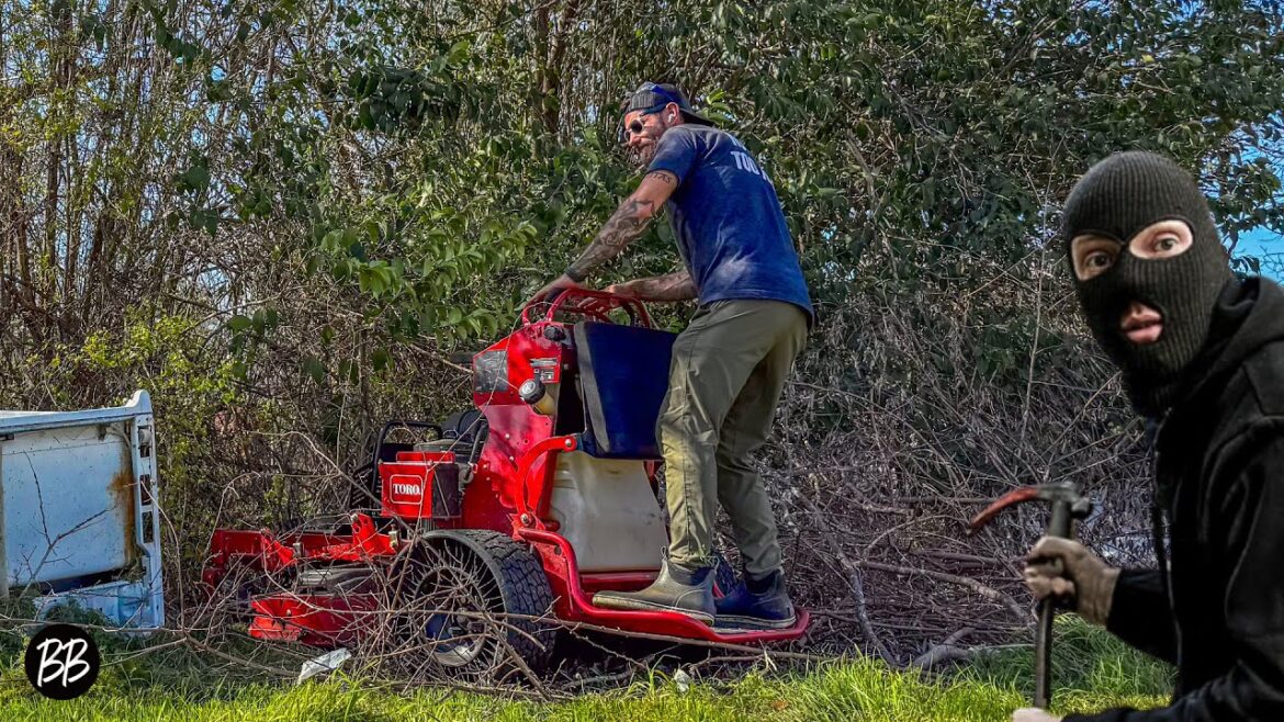 A THIEF tries to STOP this FREE Yard TRANSFORMATION