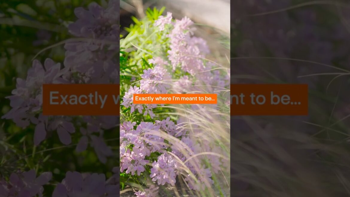 Find your 🧘🏻‍♀️zen🧘 in your back garden this summer #DIYtips #Howto #BandQ