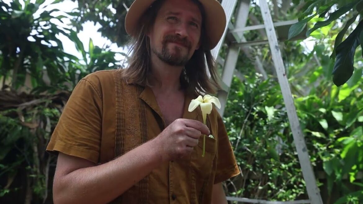 How One Family Planted 300+ Rare Edible Plants in Their Florida Backyard. How One Family Planted 300+ Rare Edible Plants in Their Florida Backyard.