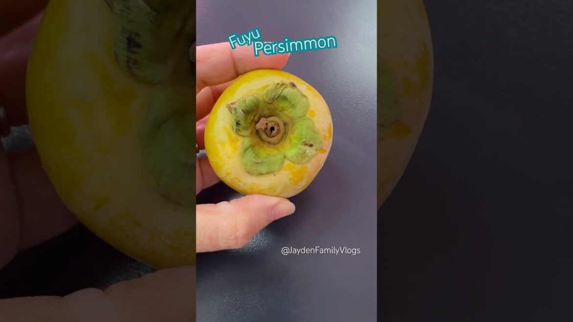 Seedless Persimmon #shorts #satisfying #fruit #enjoy #garden #oddlysatisfying