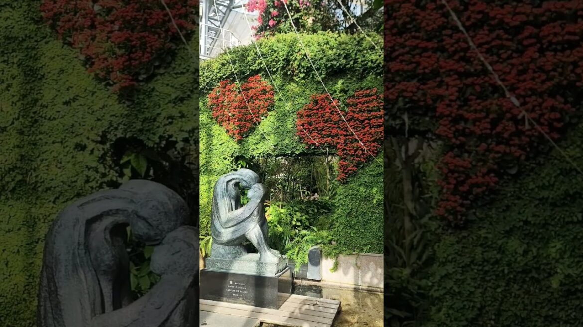 #shorts Japanese garden #gardendesign#japanesegarden #landscape#relax#outdoors#vacation #japantravel