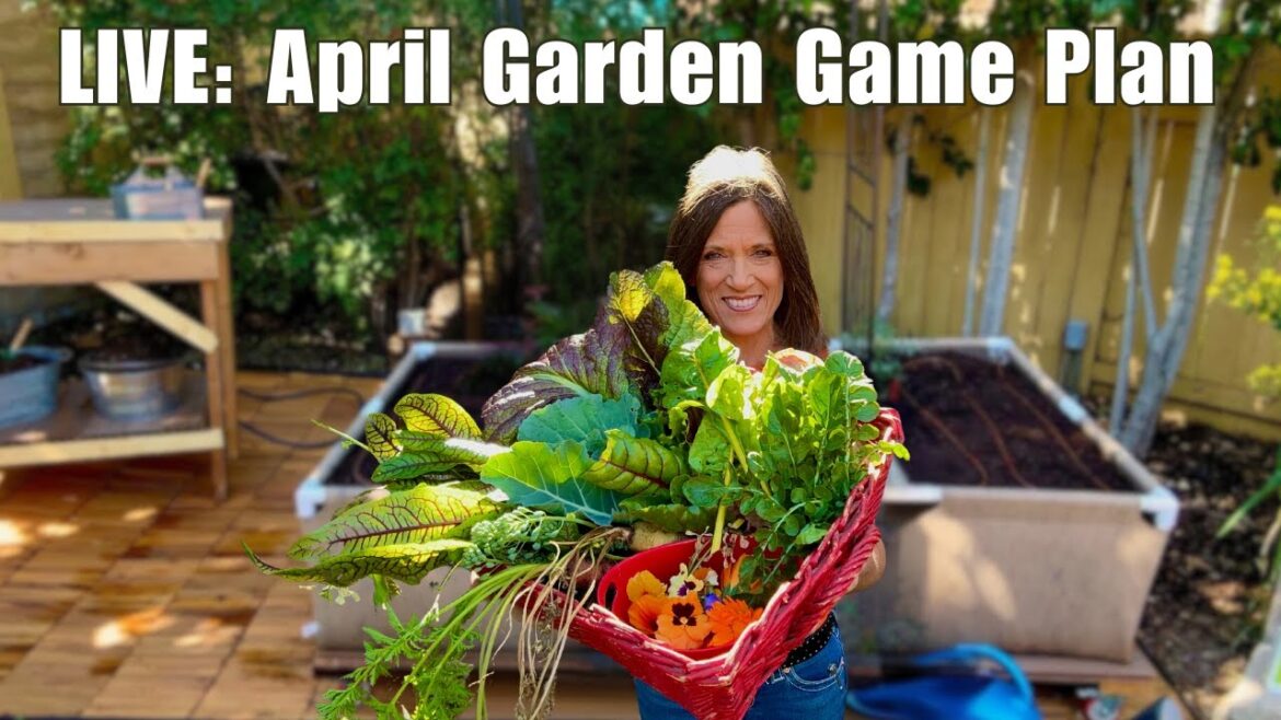 LIVE: April Garden Game Plan – Spring Into Action