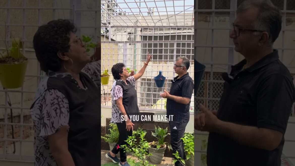 Vertical Garden Ideas for Passionate Rooftop Gardeners 💚 #shorts #verticalgardening #gardeningtips