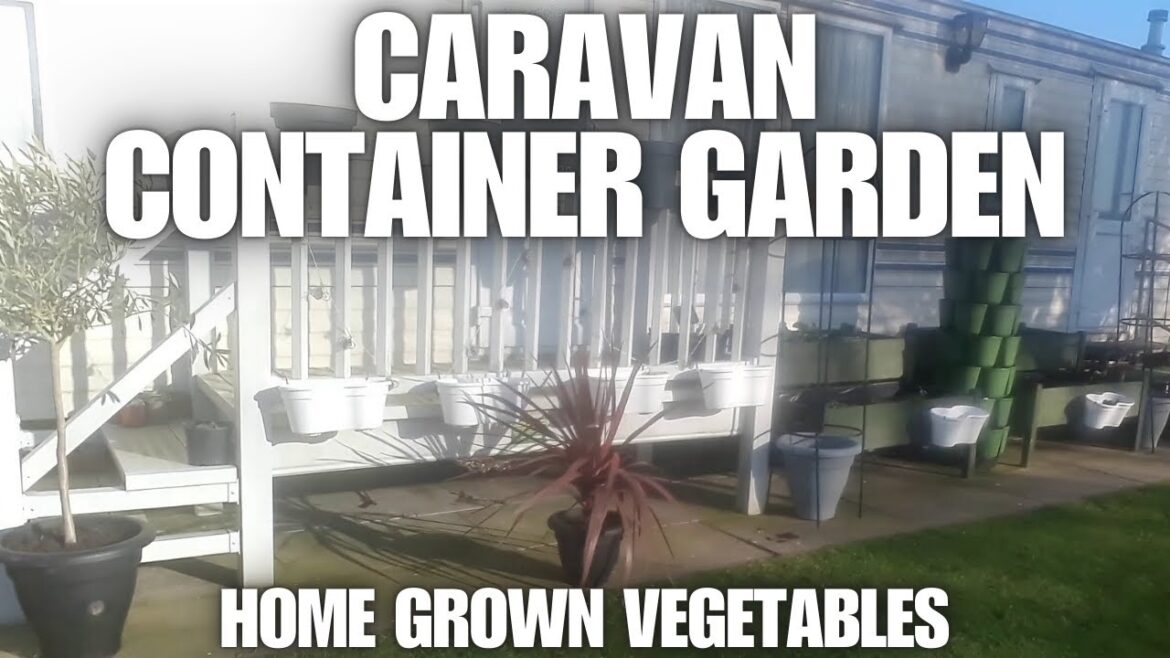 Vegetable container gardening  [Container Gardening ]