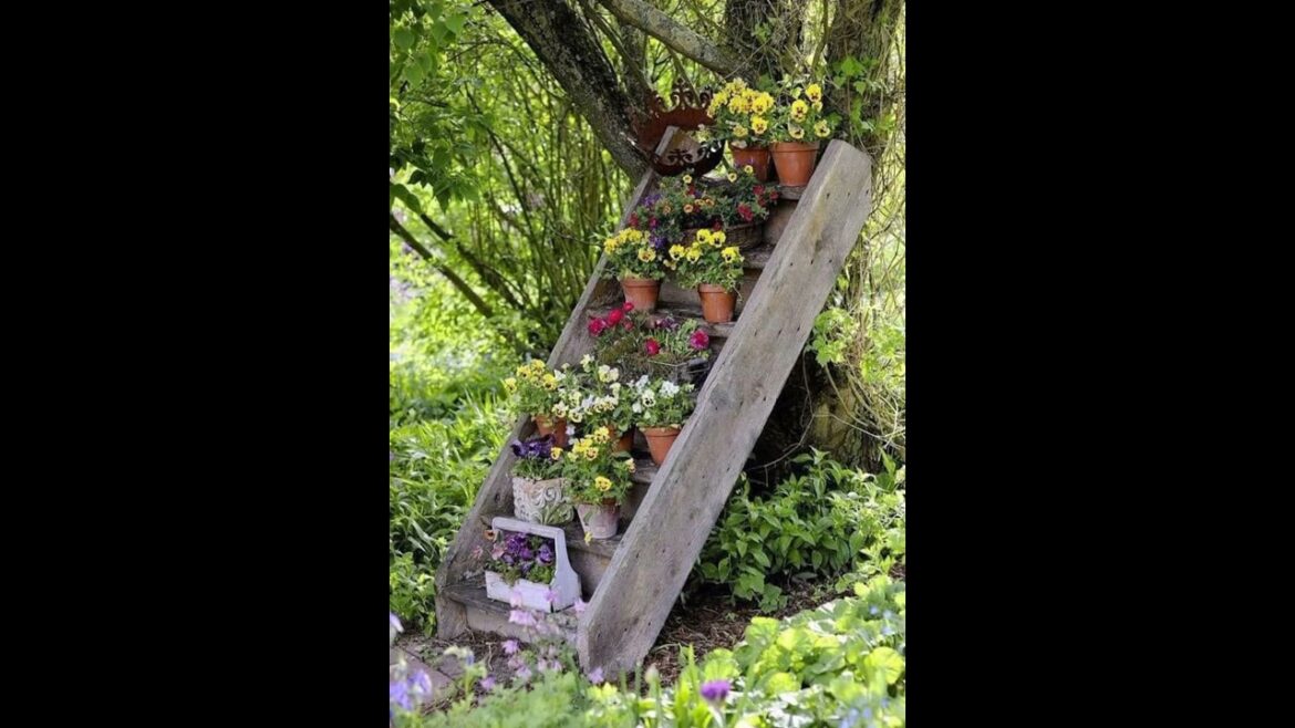 Gardening ideas#ytshort#youtoubeshorts#viralshortvideo