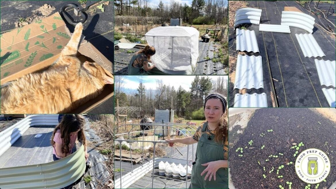 This Raised Bed System Solved My Biggest Garden Problem This Raised Bed System Solved My Biggest Garden Problem