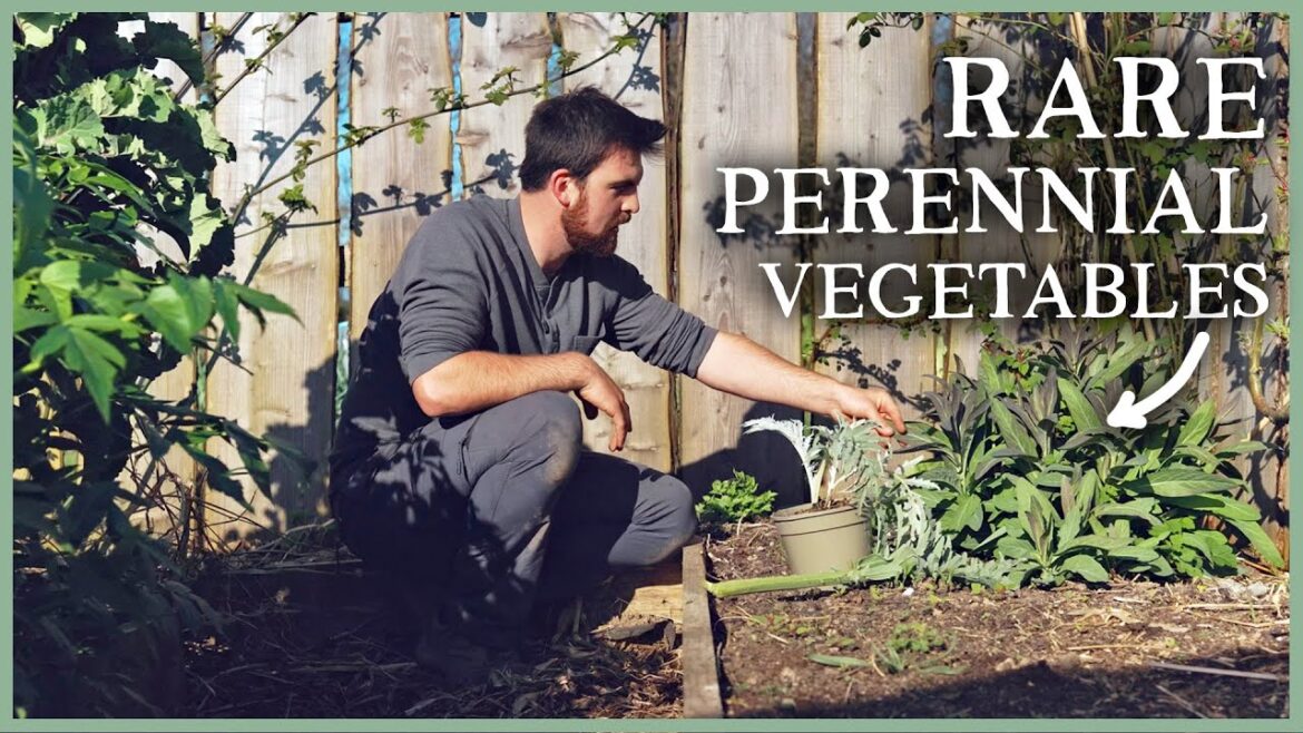 Huw Richards: Hot Bed Abundance, Perennial Polycultures & Eating Cardoons | The Kitchen Garden Ep2 Hot Bed Abundance, Perennial Polycultures & Eating Cardoons | The Kitchen Garden Ep2