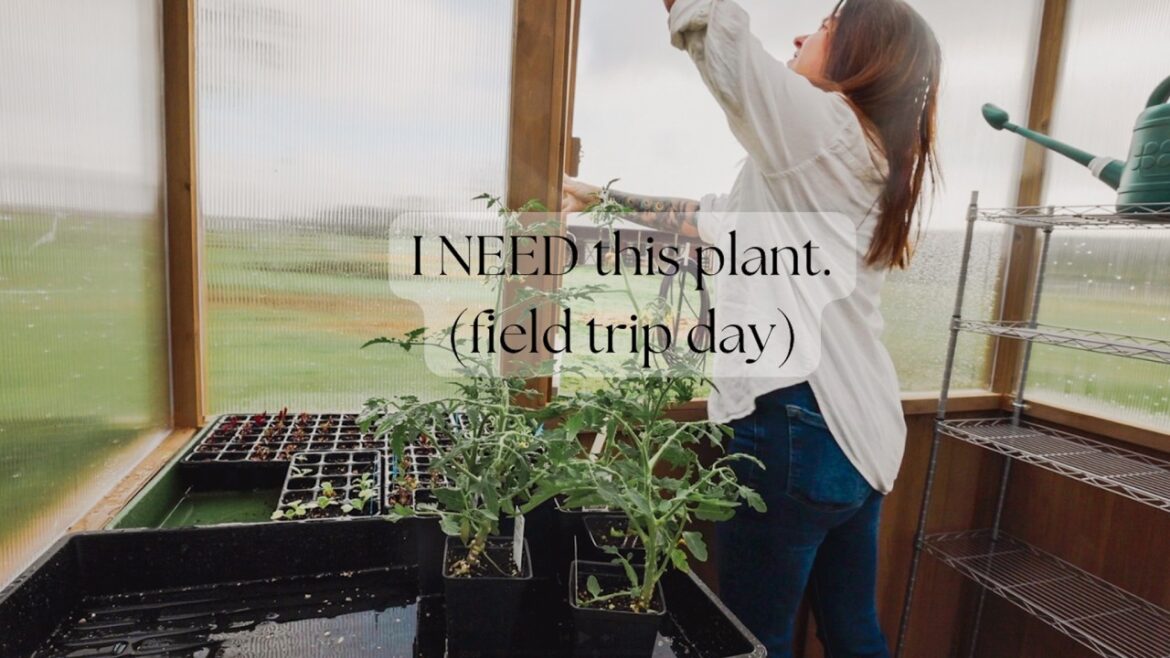 Roots and Refuge Farm: I NEED this plant (botanical garden field trip) | VLOG I NEED this plant (botanical garden field trip) | VLOG