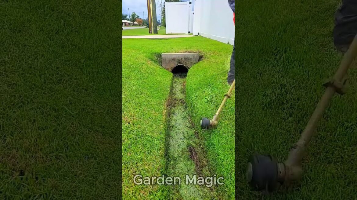 Satisfying Gardening Work 🌳 #garden #lawncare #lawn #transformation #landscape #7