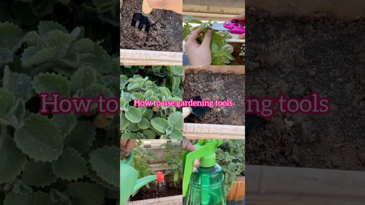 How to use gardening tools effectively🍃 #shorts #gardening #plants #gardeningtips #trending #tools