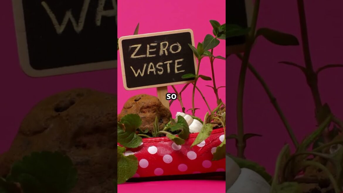 🚽🌸 From TRASH to BLOOMING TREASURE! 7 Hilarious Container Flower Gardening Ideas!