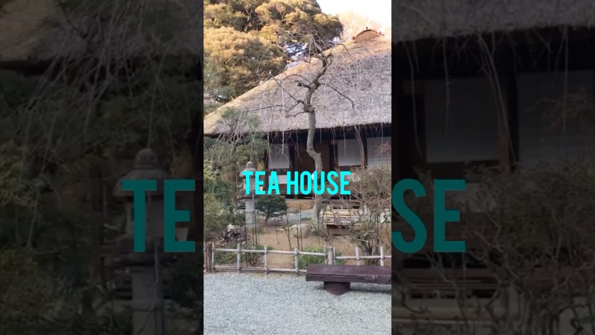 Mogusaen winter scenery #Japan