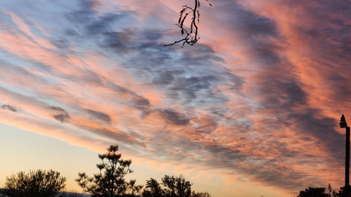 Hydroponics Store Tricities Garden Supply Eastern Washington #Local #Pnw #Hydro #Grow #Learn