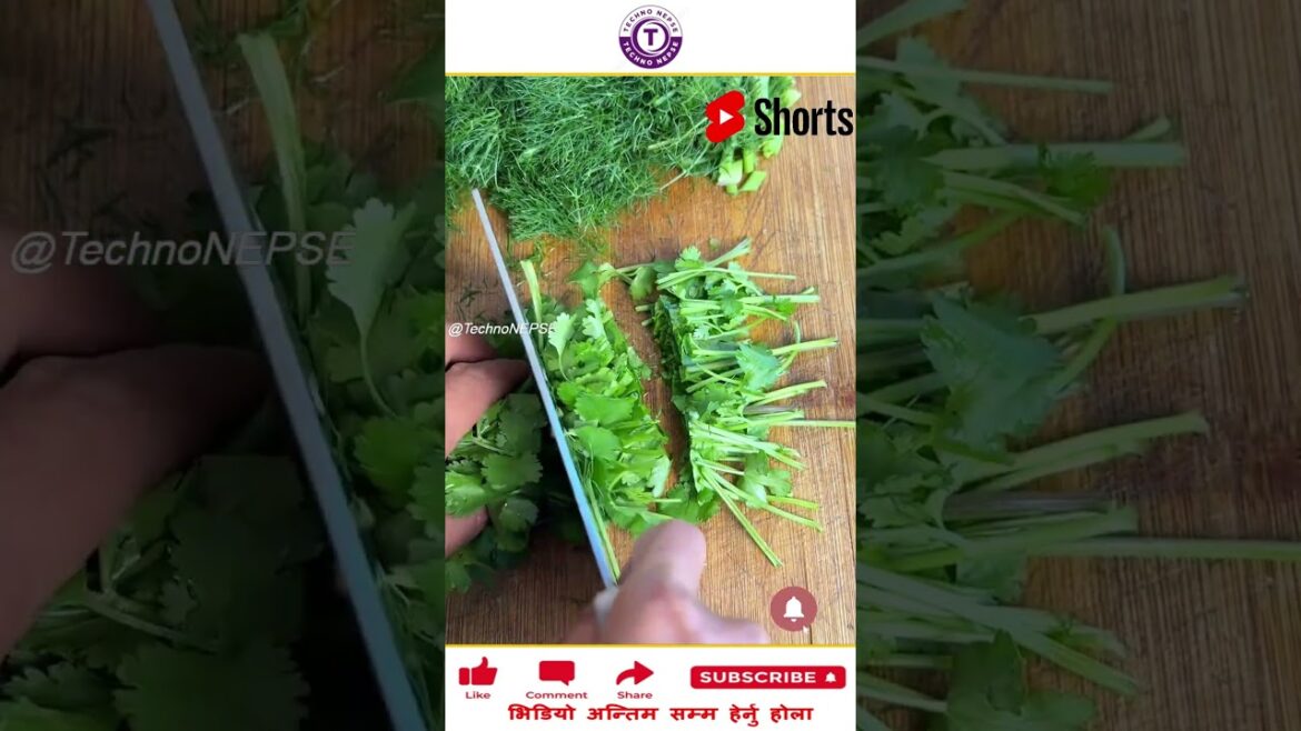 यस्तो सागको सलाद खानुभएको छ। #amazing #mostpopular #mostviral #mostviewed #shorts #viralshorts