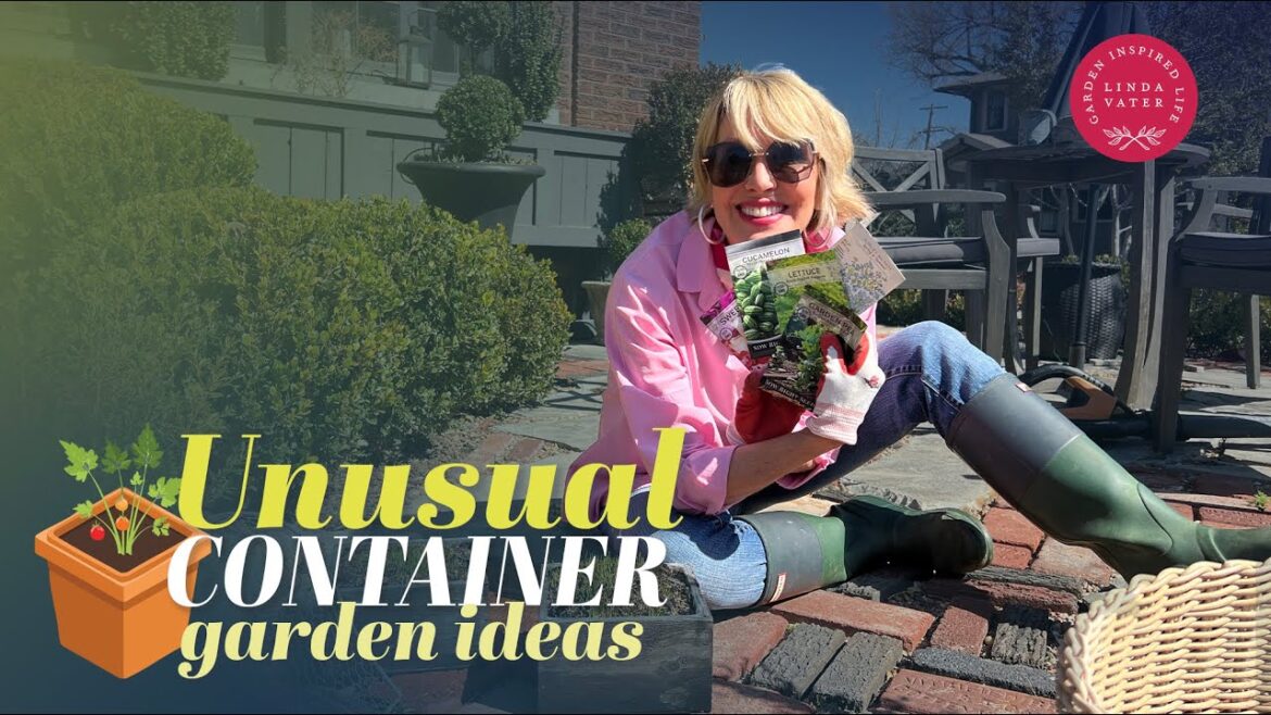 Let’s Try Some Unusual Container Garden Ideas 🪴🪴