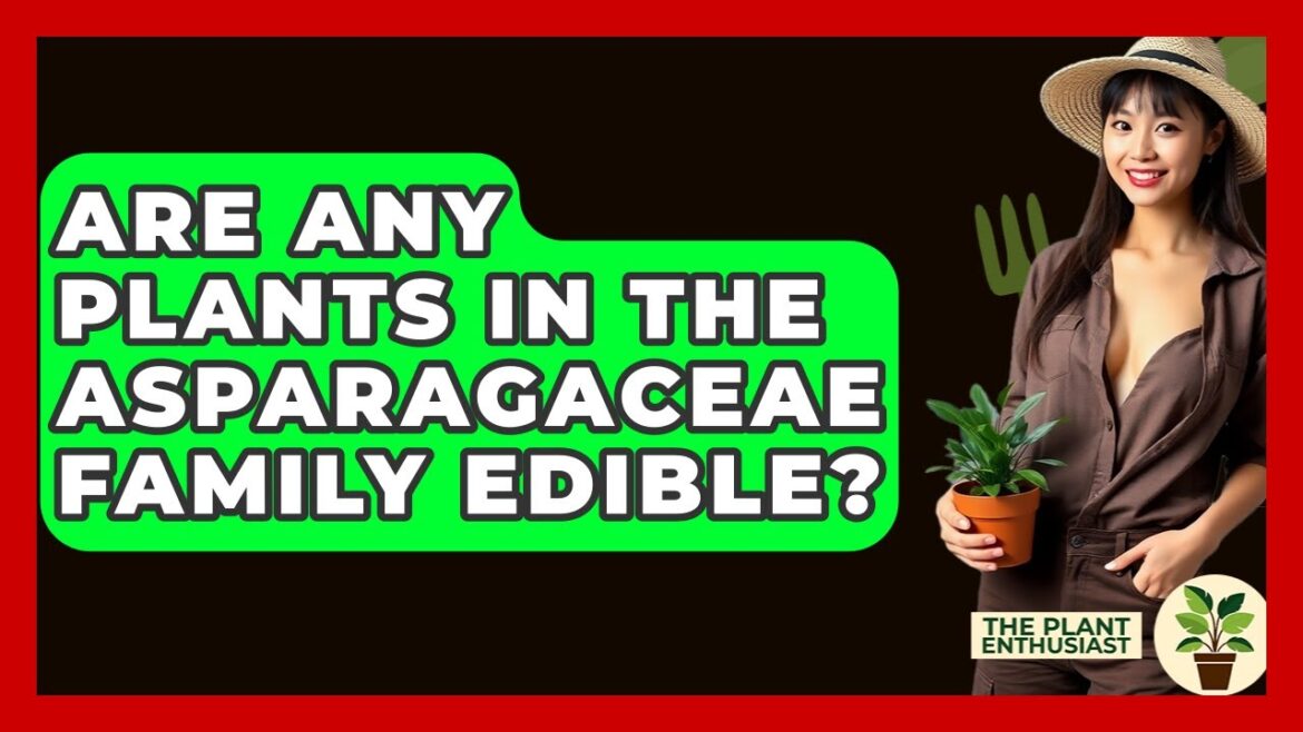 Are Any Plants In The Asparagaceae Family Edible? – The Plant Enthusiast Are Any Plants In The Asparagaceae Family Edible? - The Plant Enthusiast