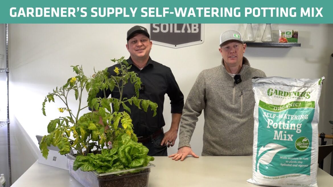 Gardener's Supply Self-Watering Potting Mix Test | Know Before You Grow