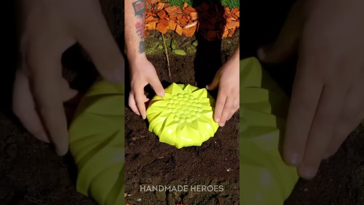 Impress Your Neighbors with This Backyard Revamp!