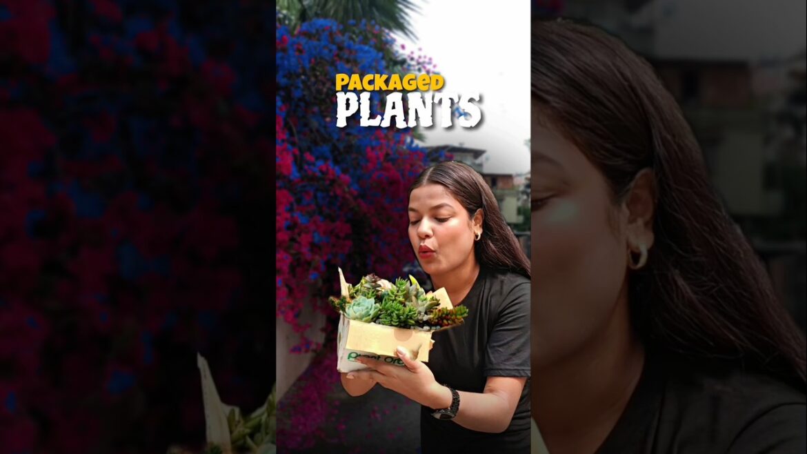 অনলাইনে গাছ কিনেছো কখনও?😳🌱 #shorts #bengali #minivlog #gardening অনলাইনে গাছ কিনেছো কখনও?😳🌱 #shorts #bengali #minivlog #gardening