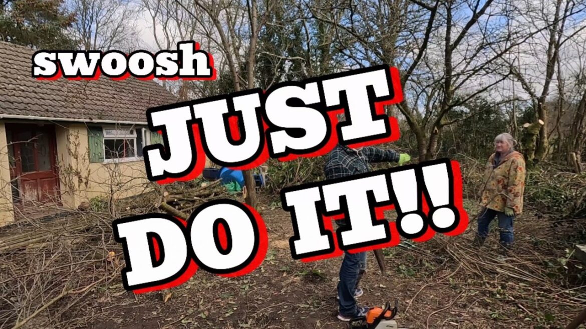 Pollarding trees overgrown garden renovation West Wales coast.