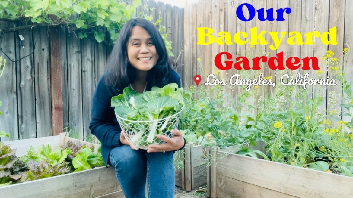 Let’s SEE What’s In Our Los Angeles GARDEN Today ๐ฑ Let's SEE What's In Our Los Angeles GARDEN Today ๐ฑ